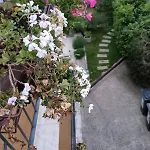 Palme Opatija