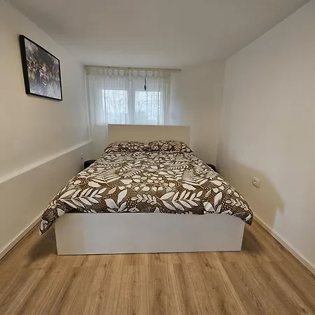 Palme Appartement *